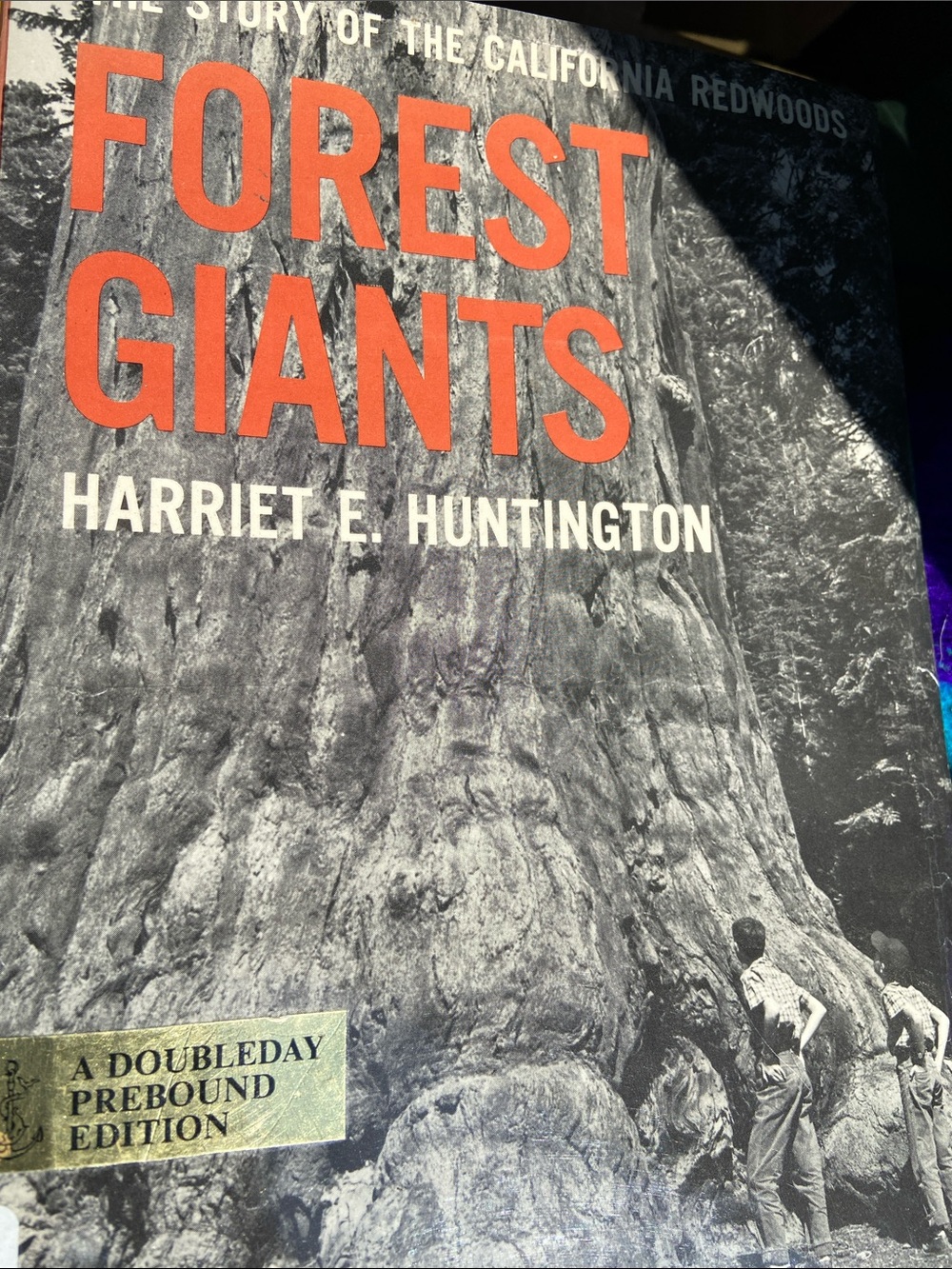 60s 1960s 1st edition book Redwood Forest Giants California Redwoods tree trees